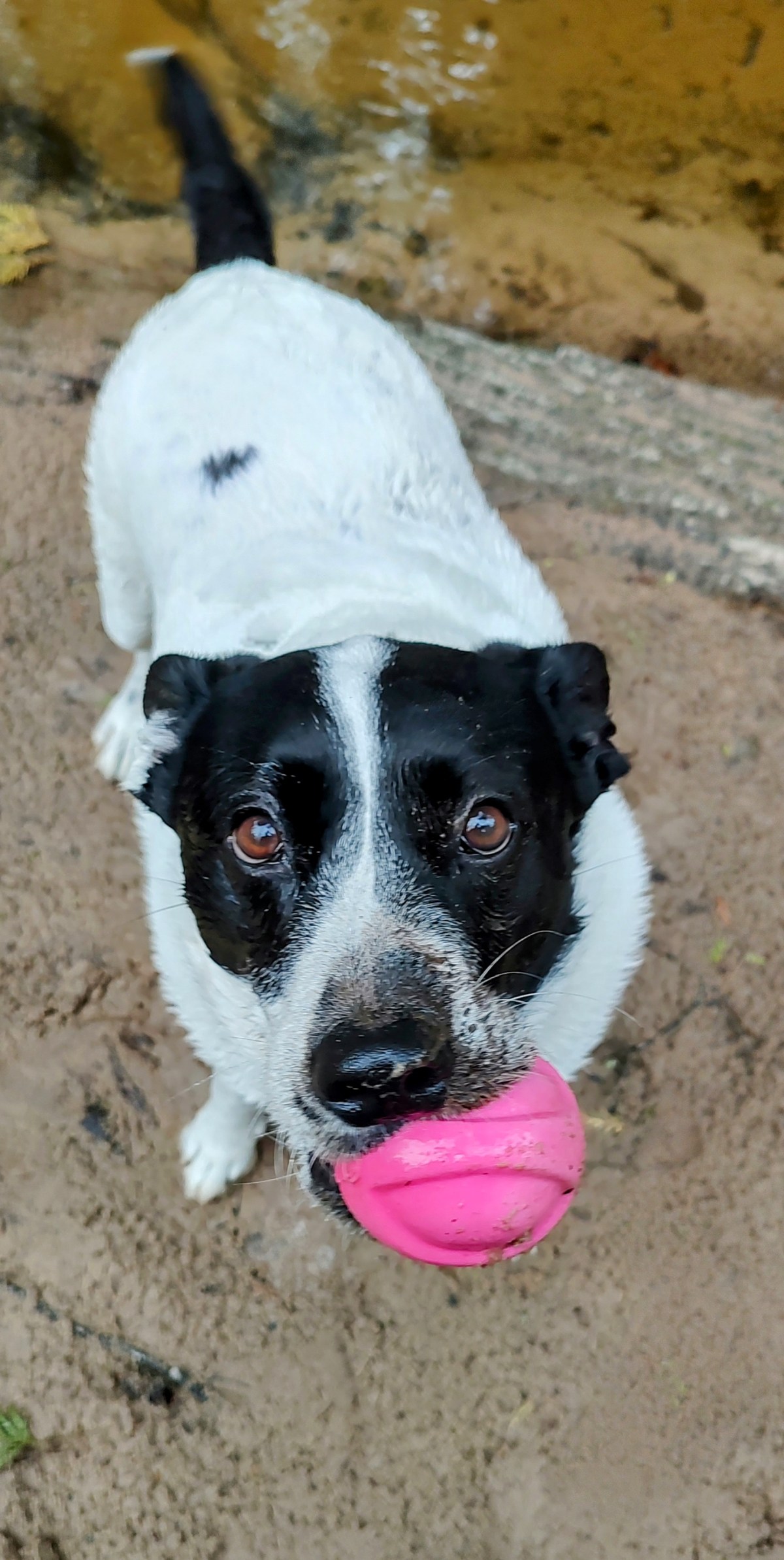 Eye on the&nbsp;Ball