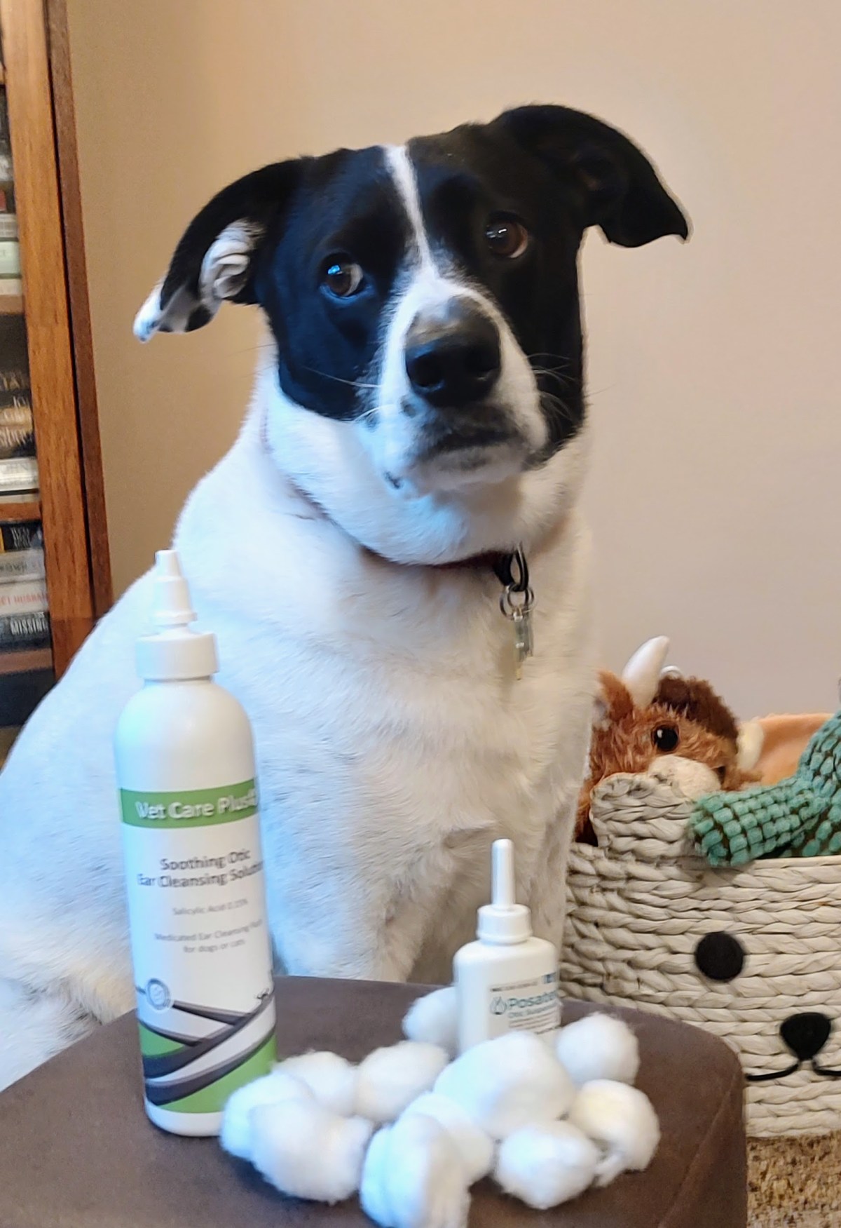 Rising from the&nbsp;Drop