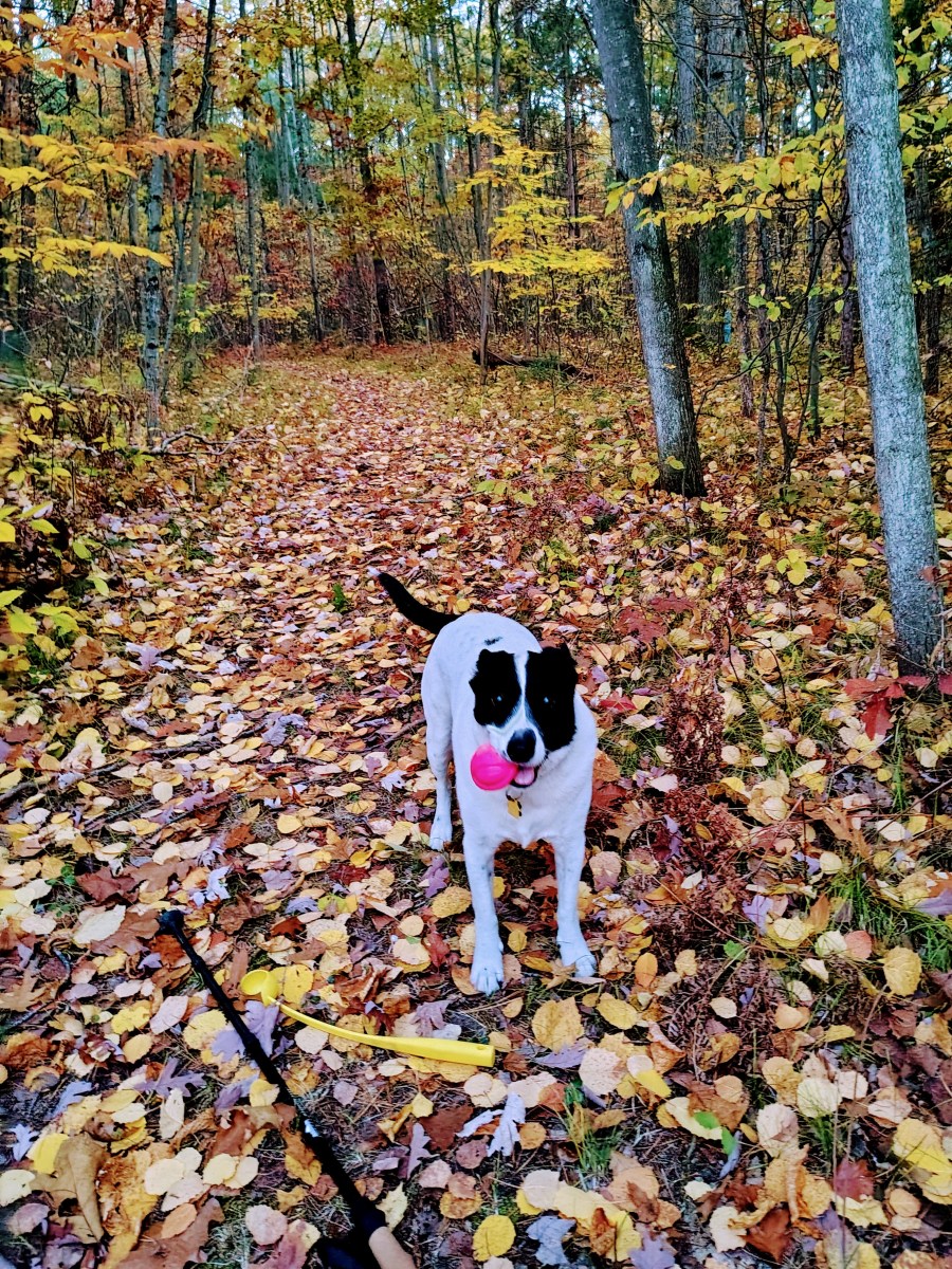 Santa, Slow Your&nbsp;Sleigh!