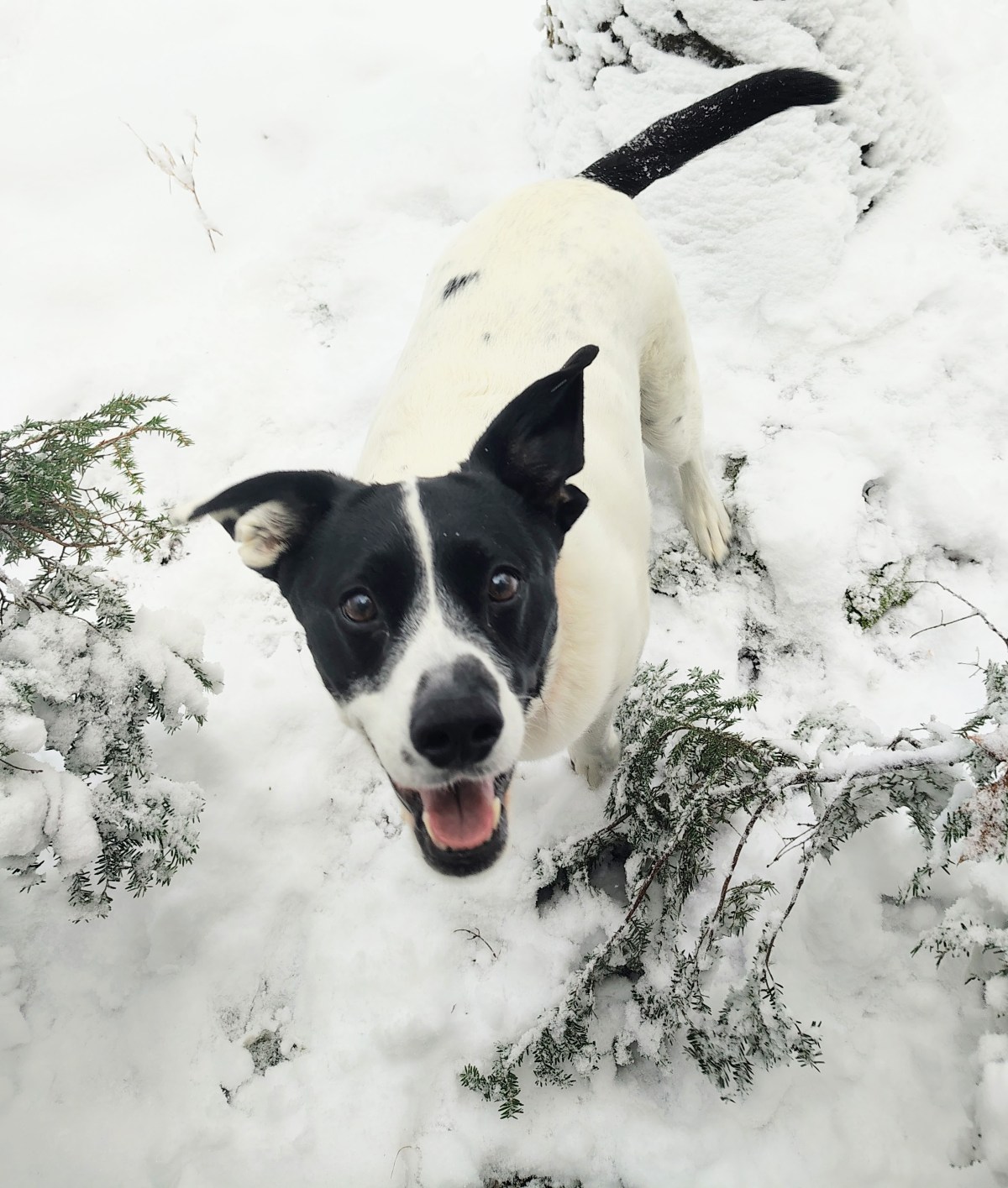 Operation: Outlast Winter