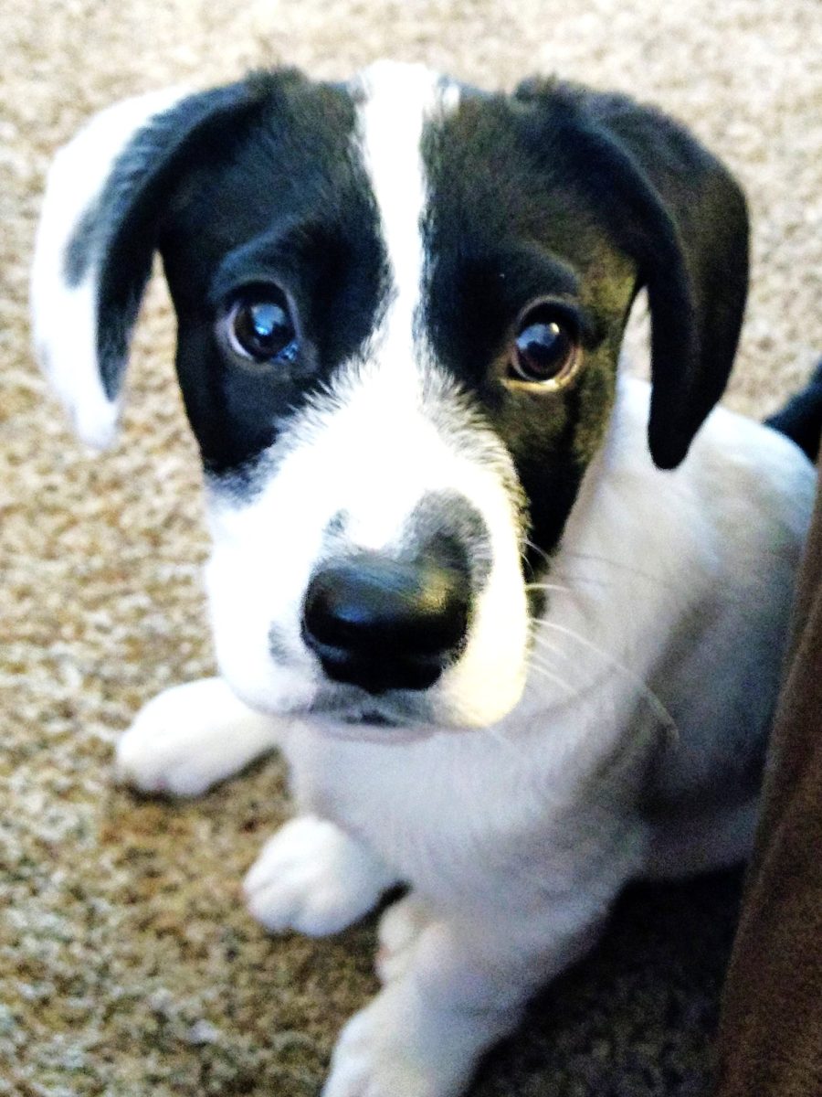 The Adventure Clock Strikes&nbsp;Seven