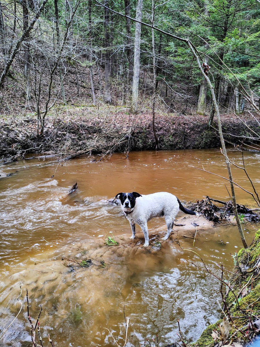 Go with the&nbsp;Flow